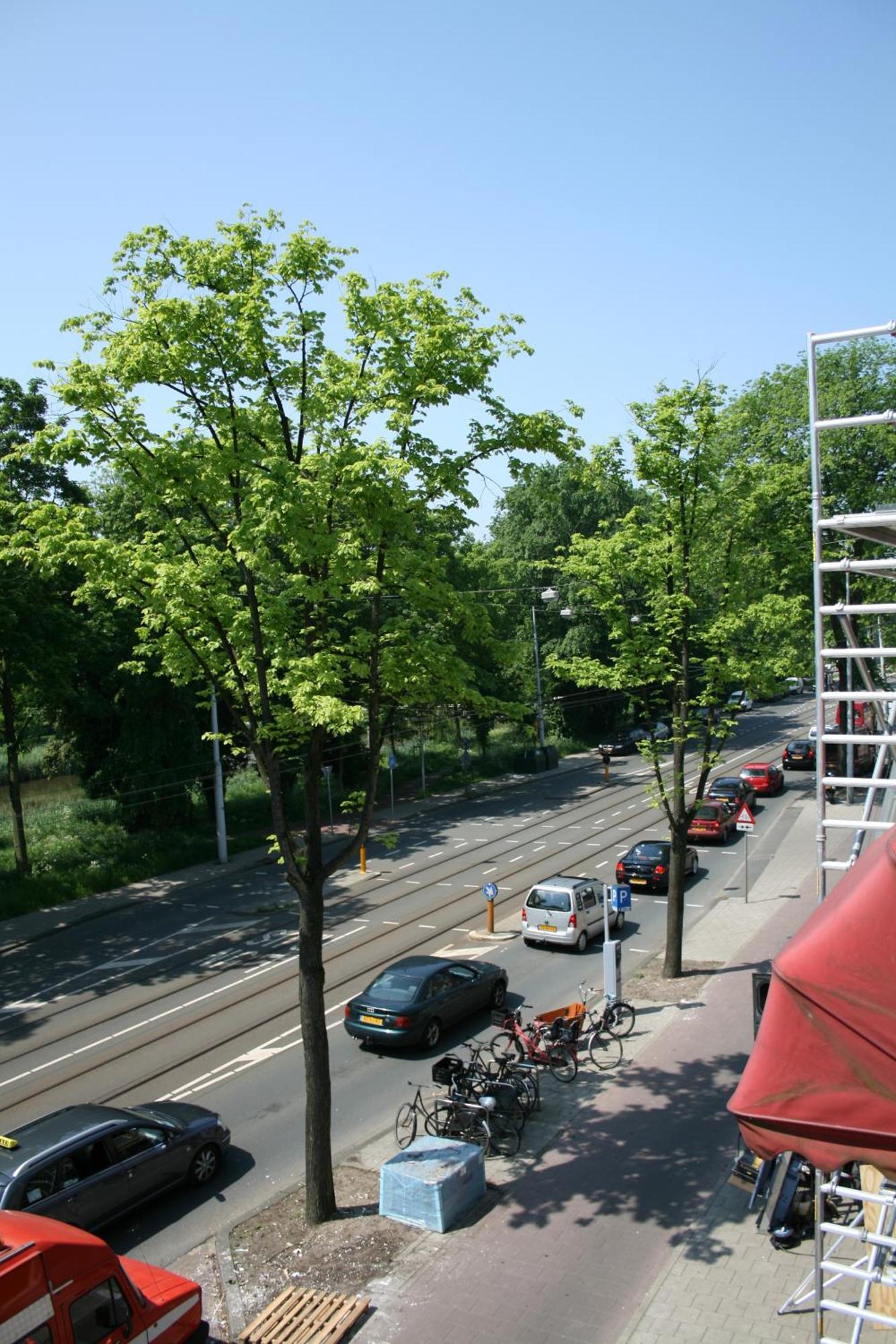 Frankendael Apartments Amsterdam Zewnętrze zdjęcie