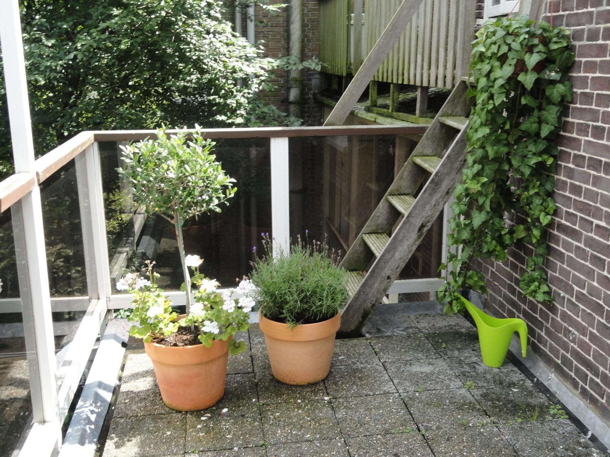 Frankendael Apartments Amsterdam Zewnętrze zdjęcie
